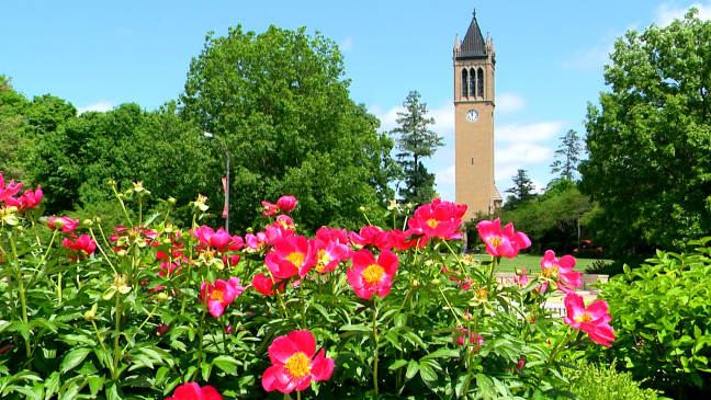 Postcard from Campus: Lazy Summer Days