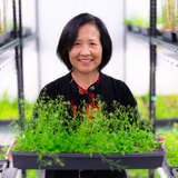 Hongqing Guo holds a tray of green plants in a brightly lit grow room with white walls.