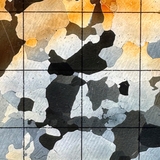 This image shows the deformation of grains of ice. Different colors indicate different orientations of the grains.