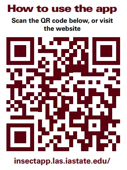 InsectNet QR code